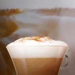 Nescafé Dolce Gusto Cappuccino Capsules - 90 Koffiecups 15 Nescafé Dolce Gusto Cappuccino Capsules - 90 Koffiecups -Koffie Tijd Winkel 1190x1200 3