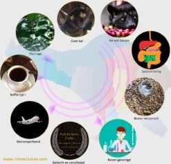 Kopi Luwak Koffie. 35 Gram Ongemalen Bonen. Direct Trade. Single Origin. The Original By Rich.Exclusive. 26 Kopi Luwak Koffie. 35 Gram Ongemalen Bonen. Direct Trade. Single Origin. The Original By Rich.Exclusive. -Koffie Tijd Winkel 1200x1153 1