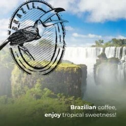Soolong Enjoy Brazilie Nr4000 Koffiebonen Topacio Lungo - Speciality Koffie Arabica Medium Roast, Light Body Met Een Verfijnde Zacht Zoete Smaak. - Zak 250gram 17 Soolong Enjoy Brazilie Nr4000 Koffiebonen Topacio Lungo - Speciality Koffie Arabica Medium Roast, Light Body Met Een Verfijnde Zacht Zoete Smaak. - Zak 250gram -Koffie Tijd Winkel 1200x1200 192