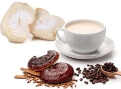 ToshiFarm Lion's Mane En Reishi Koffie - 250 Gram - Biologisch & Fair Trade - Verbetering In Concentratievermogen En Leervermogen - Filterkoffie Met Paddenstoel 17 ToshiFarm Lion's Mane En Reishi Koffie - 250 Gram - Biologisch & Fair Trade - Verbetering In Concentratievermogen En Leervermogen - Filterkoffie Met Paddenstoel -Koffie Tijd Winkel 1200x884