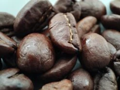 Voordeelpakket: Den Leeuw Lungo (80 Koffiecups) - Roast Koffiecups - Echte Hollandsche Koffie Van Den Leeuw In Nespresso Cups - Nespresso Compatibele Koffie Cups 12 Voordeelpakket: Den Leeuw Lungo (80 Koffiecups) - Roast Koffiecups - Echte Hollandsche Koffie Van Den Leeuw In Nespresso Cups - Nespresso Compatibele Koffie Cups -Koffie Tijd Winkel 1200x900